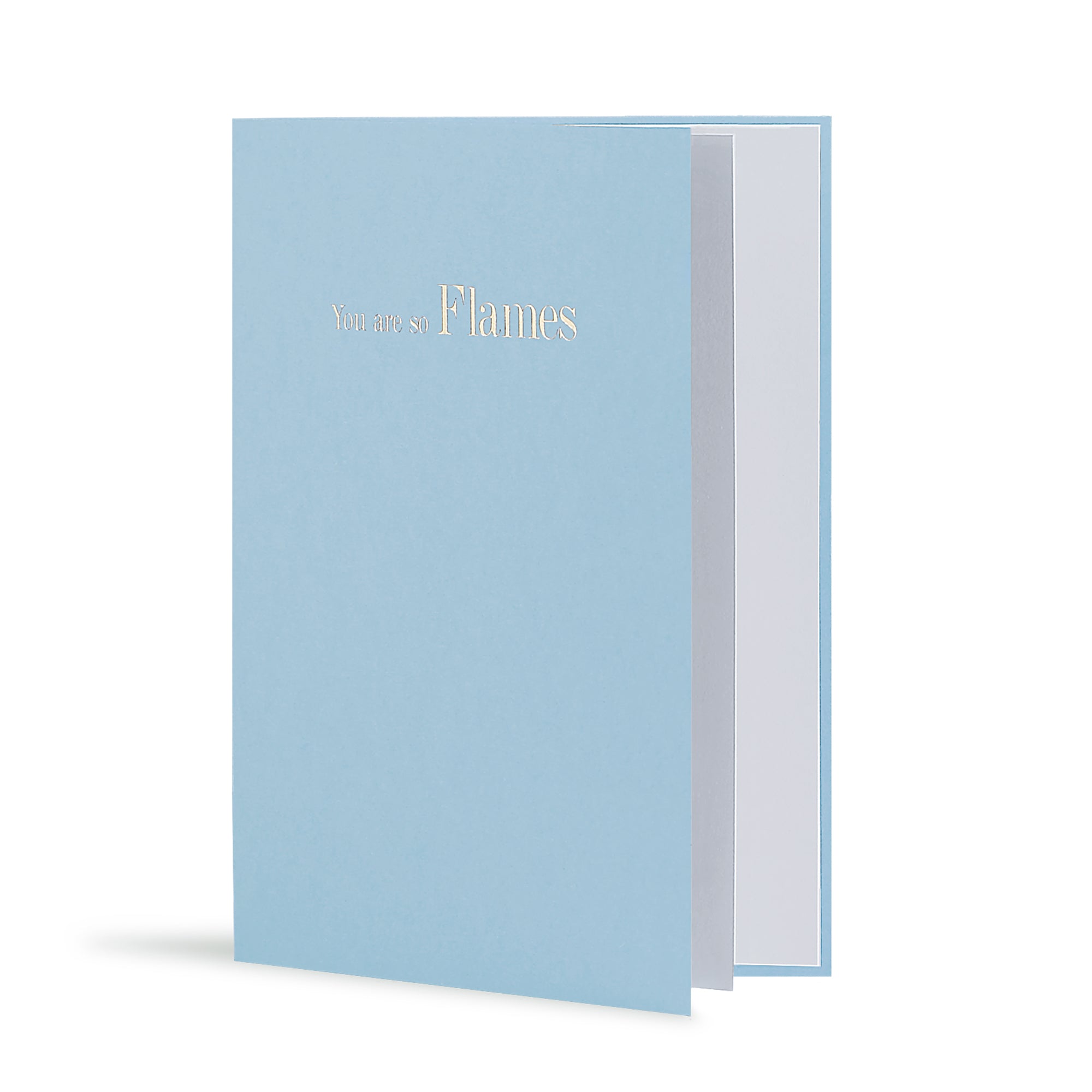 You Are So Flames Greeting Card in Grey Pastel Blue, Side